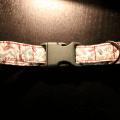 DIY dog collar complete