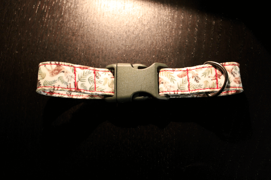DIY dog collar complete