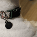 Handmade DIY dog collar reindeer 1