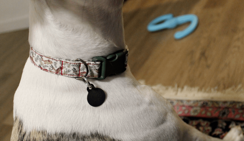 Handmade DIY dog collar reindeer 3