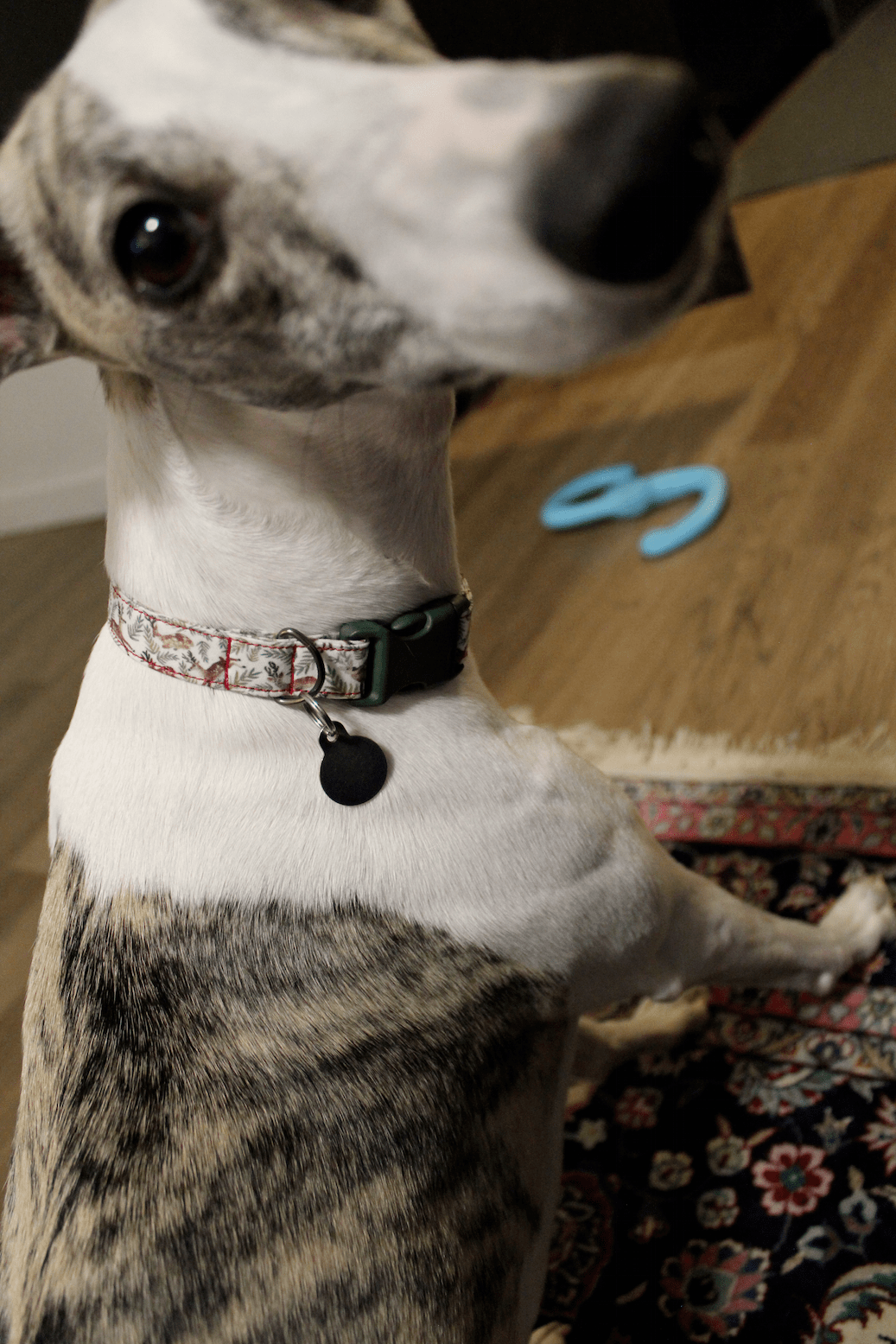 Handmade DIY dog collar reindeer 3