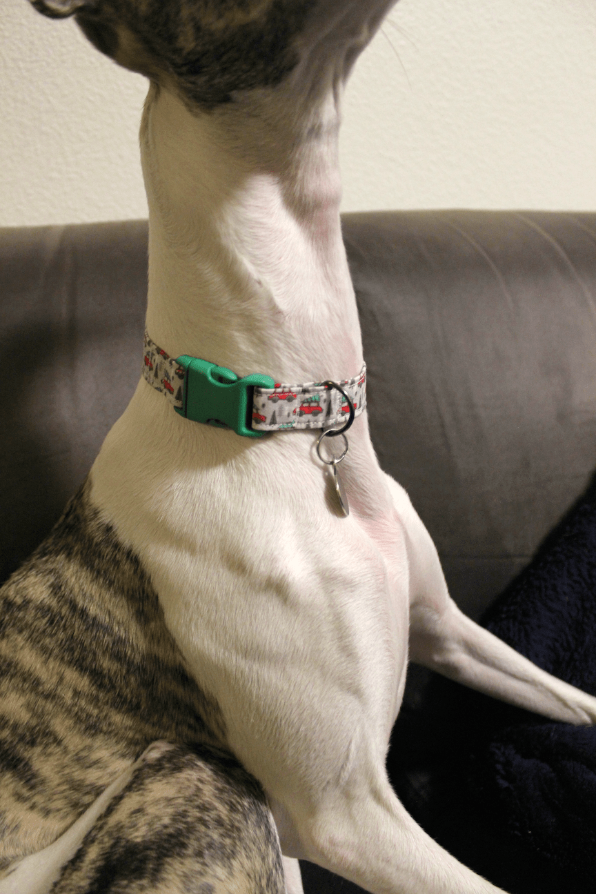 Handmade DIY dog collar Christmas cars 4