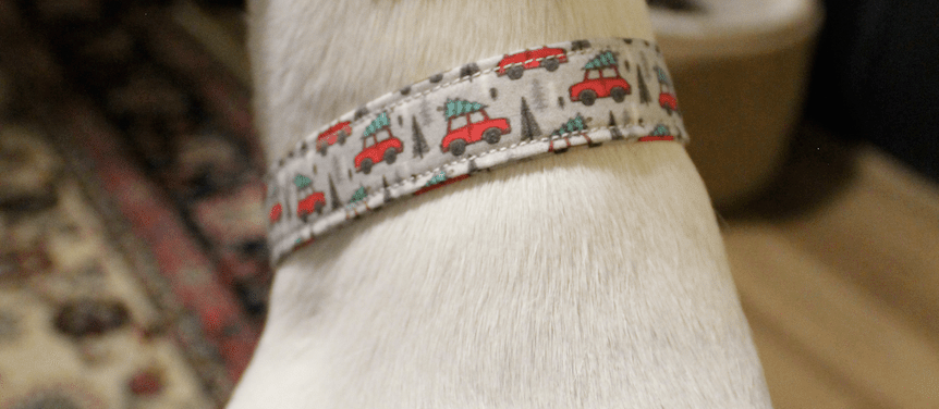 Handmade DIY dog collar Christmas cars