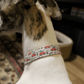 Handmade DIY dog collar Christmas cars 3