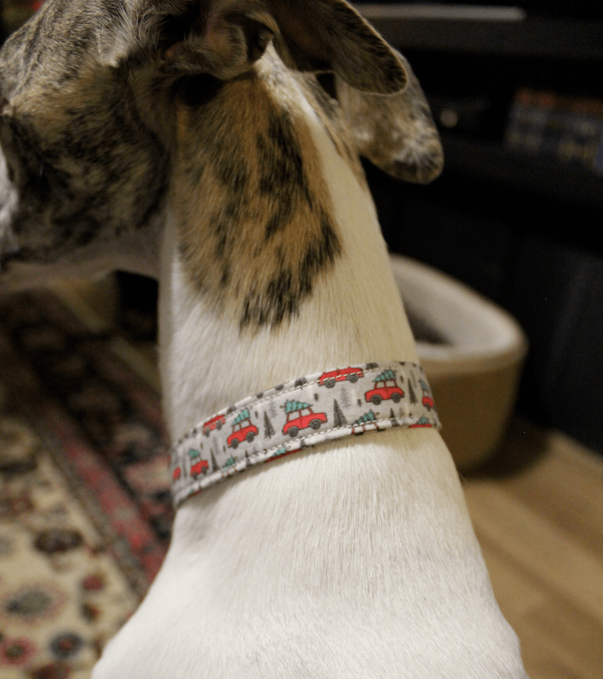Handmade DIY dog collar Christmas cars 3