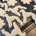 Whippet sugar cookies pre-icing
