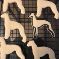 Whippet cookie icing outline