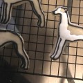 Whippet cookie white icing