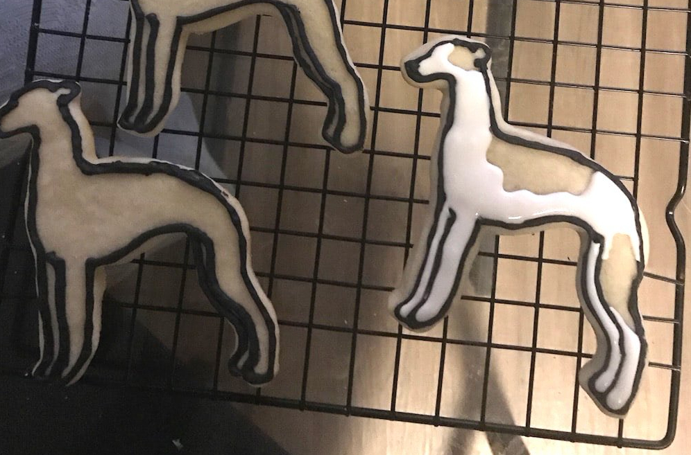 Whippet cookie white icing