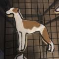 Whippet sugar cookie icing brindle 1