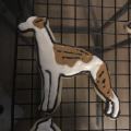 Whippet sugar cookie icing brindle 2
