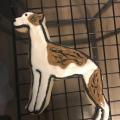 Whippet sugar cookie icing brindle 3