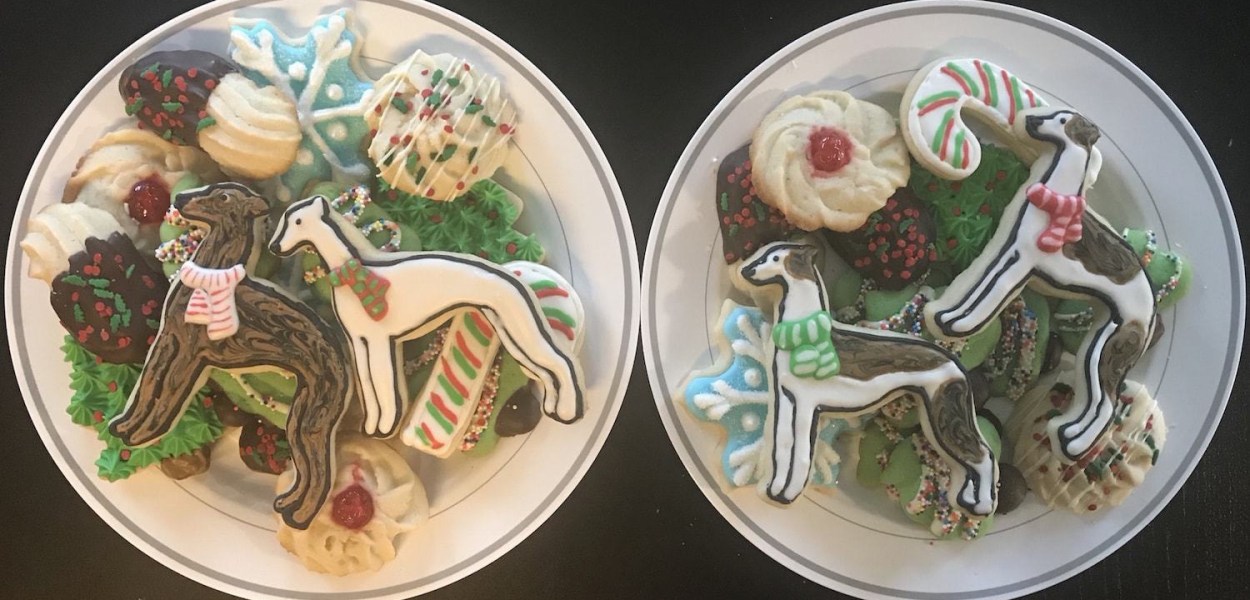 Whippet Greyhound Sugar Cookies