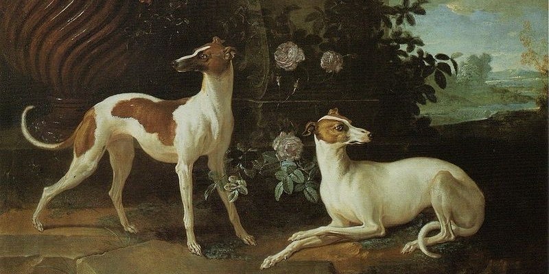 Misse and Turlu, Two Greyhounds Belonging to Louis XV