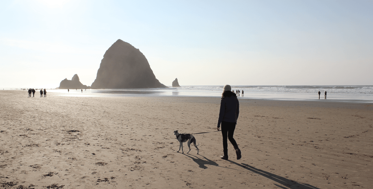 Dog friendly Cannon Beach Haystack Rock