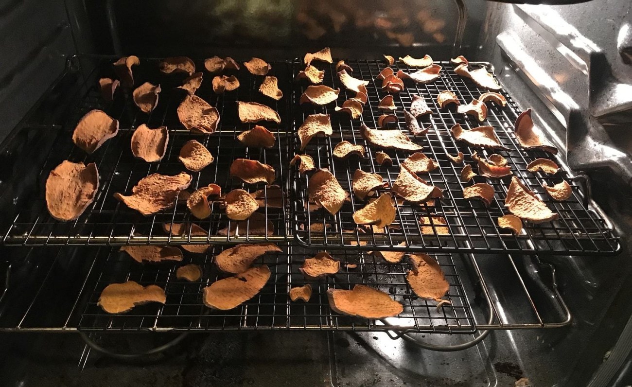 Homemade dog treat yams dried in oven