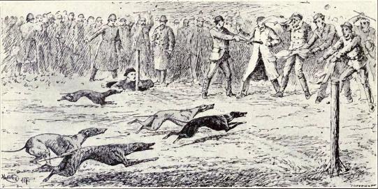 Old-time_whippet_race_from_1915.JPG