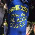 cal aggie marching doggos shirt 1-min