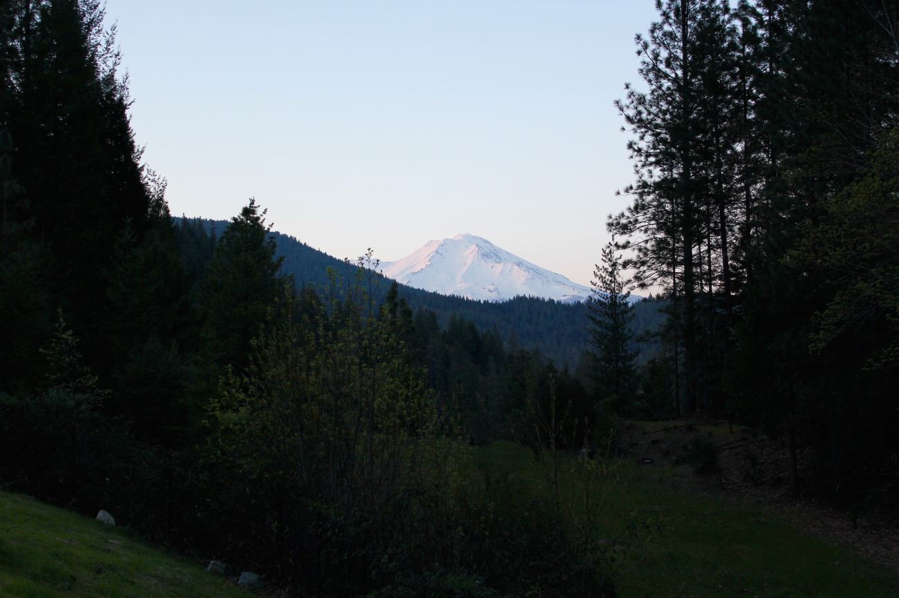 mt shasta viewpoint