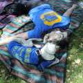 picnic day dog nap 4-min