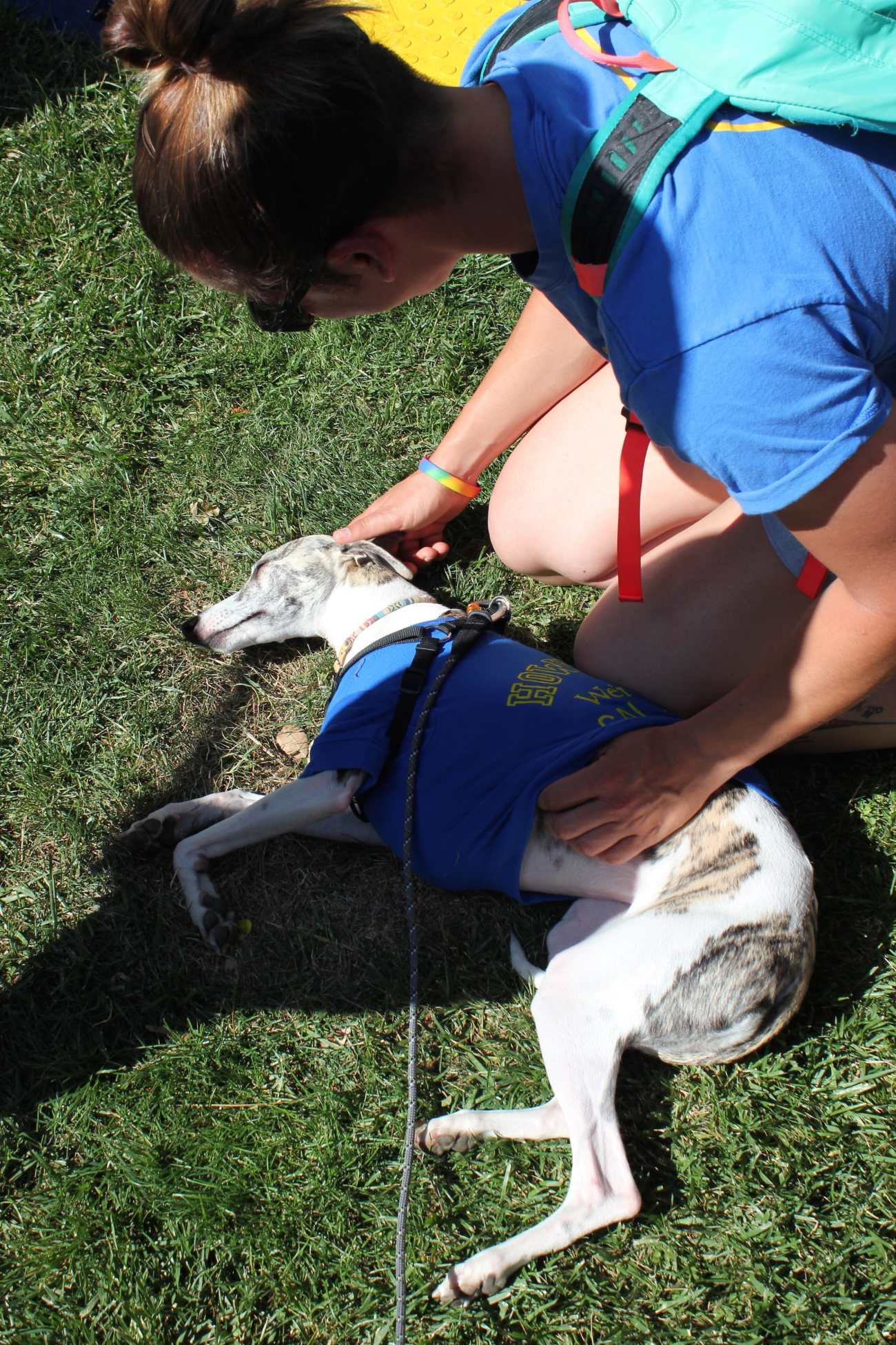 picnic day dog nap 9-min
